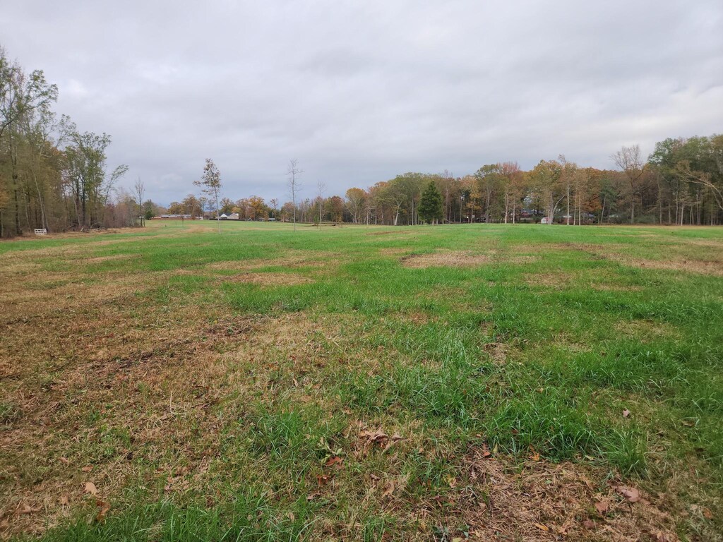 0 John Hunter Hwy, Huntland, TN 37345 - photo 1