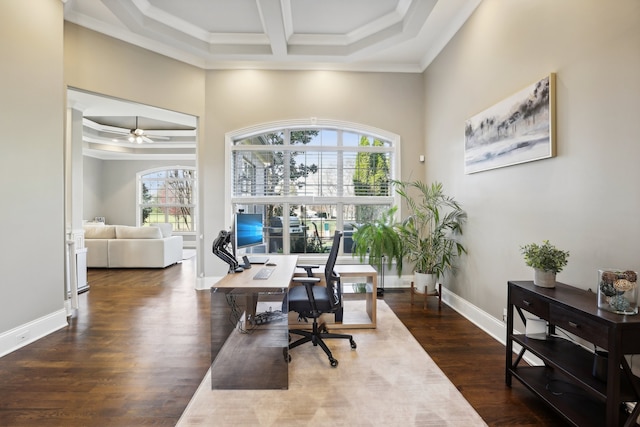 office featuring ornamental molding, ceiling fan, and dark wood-type flooring