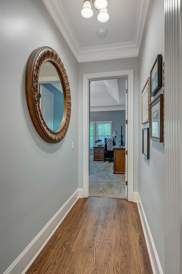 hall with crown molding and dark wood-type flooring