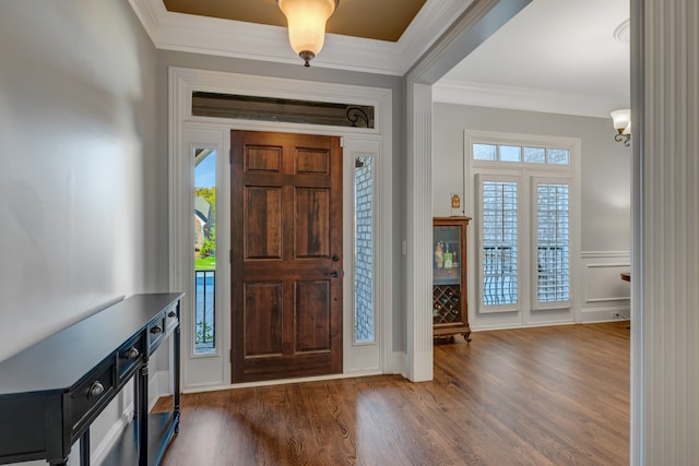 entrance foyer featuring dark hardwood / wood-style floors, plenty of natural light, and crown molding