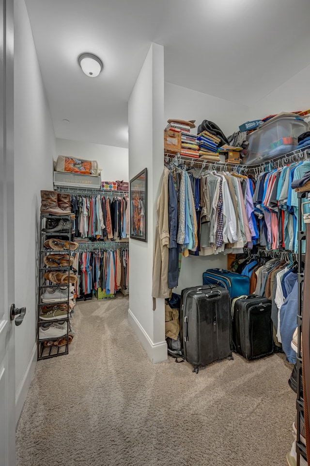 walk in closet with carpet flooring