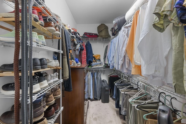 spacious closet with light carpet