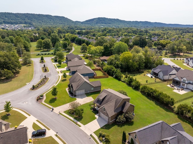 bird's eye view