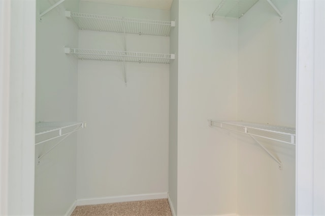 walk in closet with carpet flooring