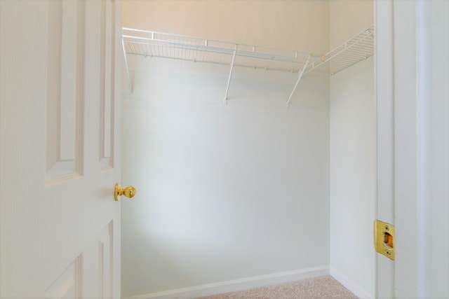 spacious closet with carpet floors