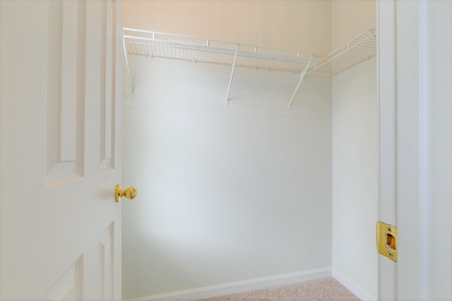 3425 Harpeth Springs Dr, Nashville, TN 37221 - view of spacious closet