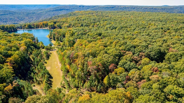 15 Myers Point Rd, Sewanee, TN 37375 - photo 18