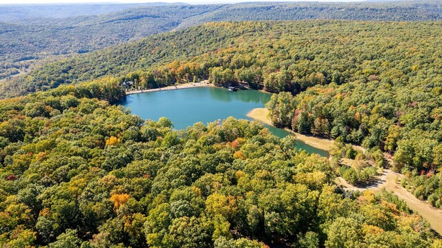 15 Myers Point Rd, Sewanee, TN 37375 - photo 19