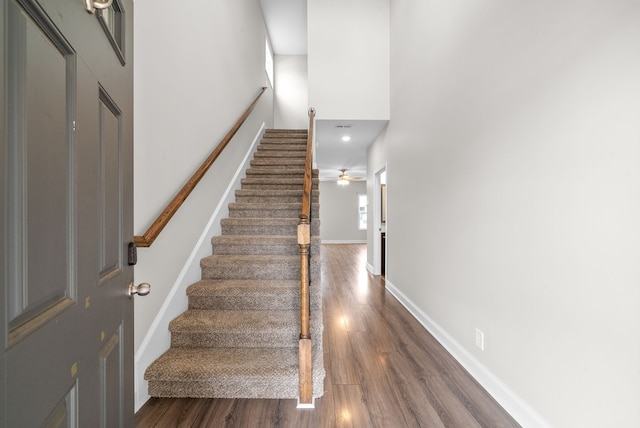 stairs featuring ceiling fan, a towering ceiling, and wood-type flooring