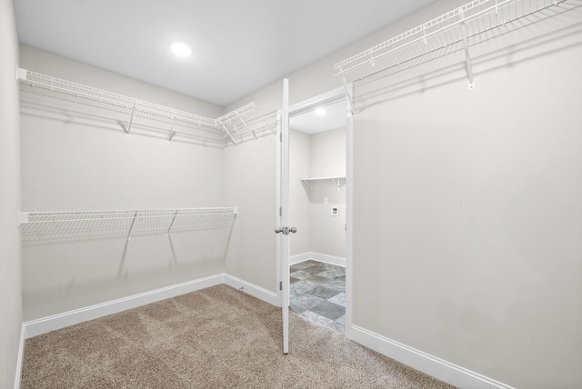 view of spacious closet