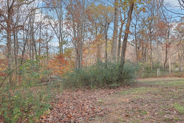 view of local wilderness