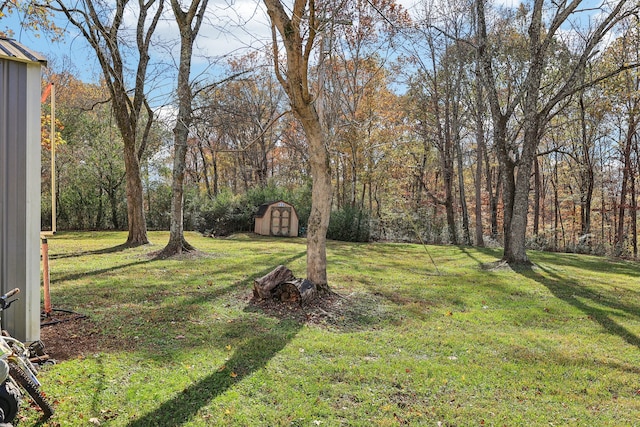 view of yard with a storage shed