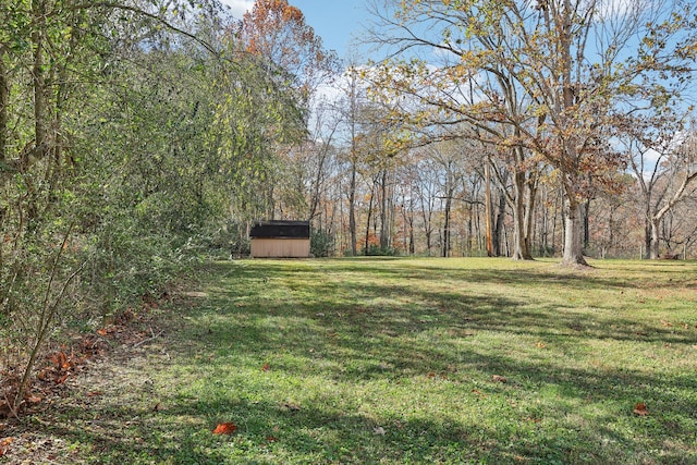 view of yard with a storage unit