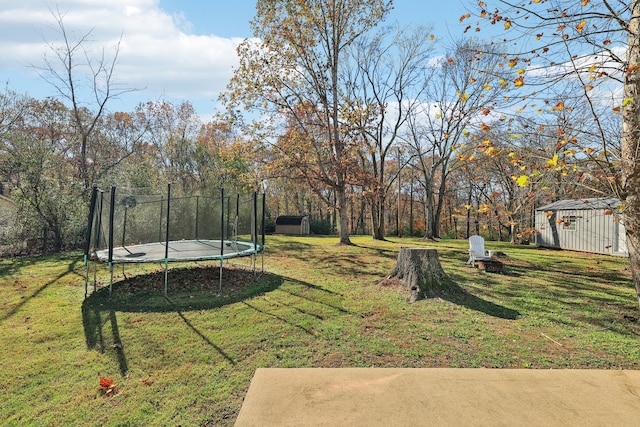 view of yard featuring a storage unit and a trampoline