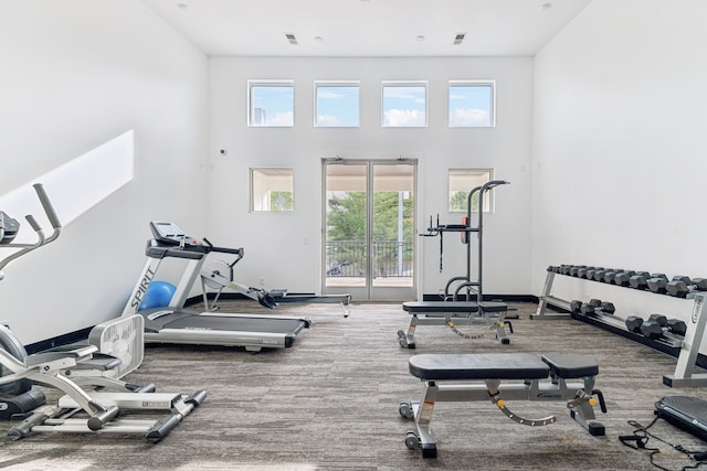 gym featuring a towering ceiling