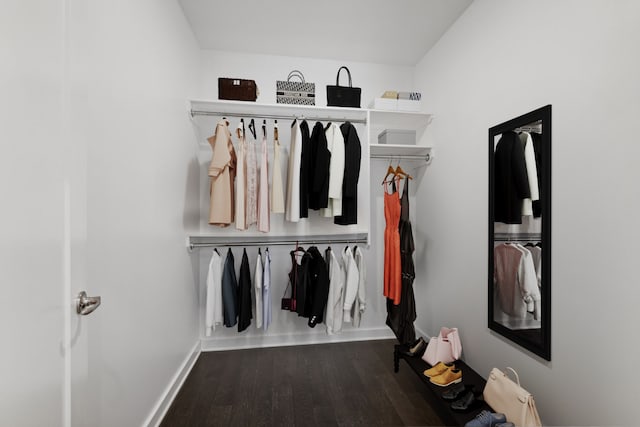 view of closet