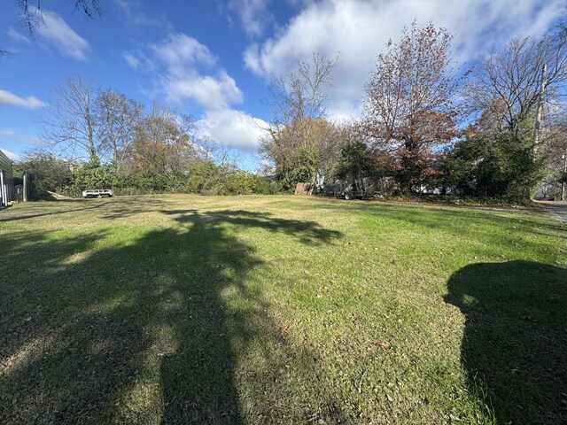 404 Grapevine Ave, Madison, TN 37115 - photo 5