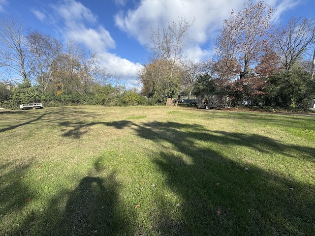 404 Grapevine Ave, Madison, TN 37115 - photo 4