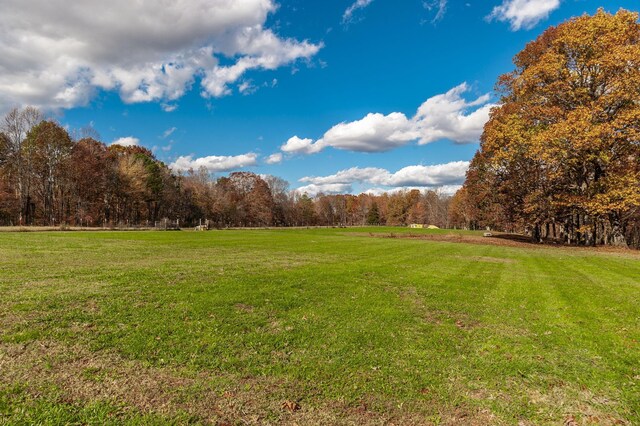 3812 Rhea Branch Rd, Ethridge, TN 38456 - photo 40