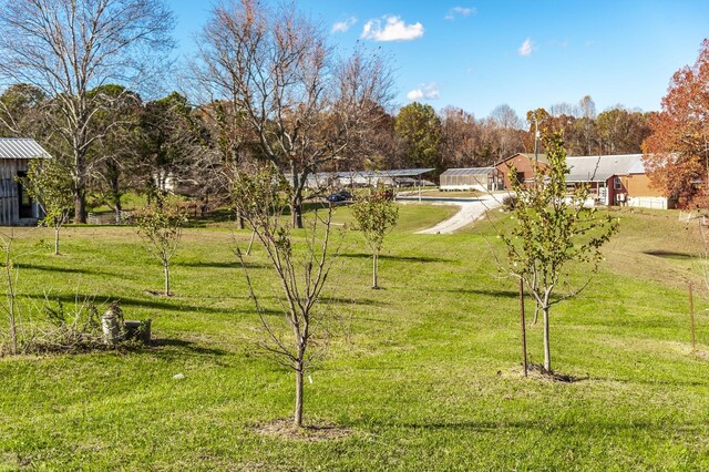 3812 Rhea Branch Rd, Ethridge, TN 38456 - photo 48