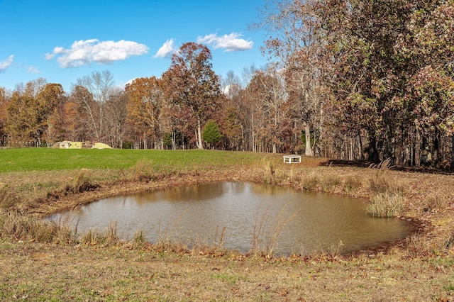 3812 Rhea Branch Rd, Ethridge, TN 38456 - photo 42