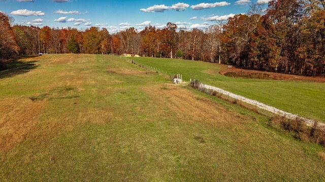 3812 Rhea Branch Rd, Ethridge, TN 38456 - photo 11