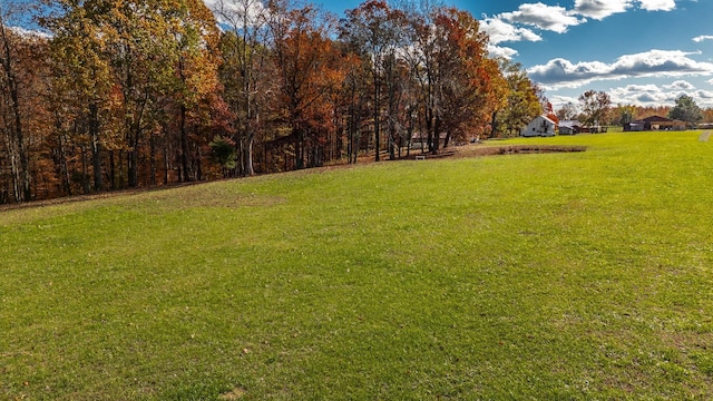 3812 Rhea Branch Rd, Ethridge, TN 38456 - photo 9