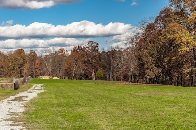 view of home's community with a yard