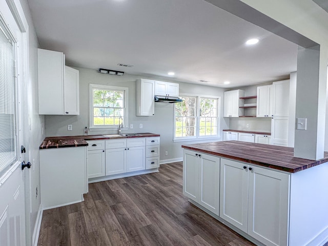 kitchen with butcher block countertops, white cabinets, and dark hardwood / wood-style floors