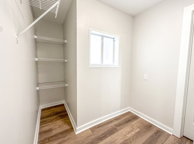 walk in closet featuring wood-type flooring