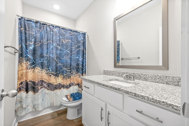 bathroom featuring hardwood / wood-style floors, vanity, and toilet