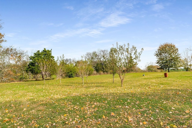 view of yard featuring a rural view