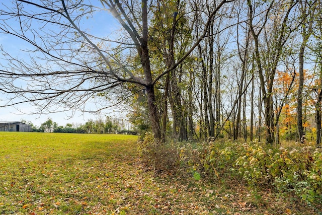 view of local wilderness