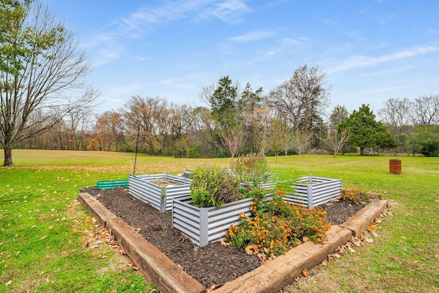 view of community featuring a lawn