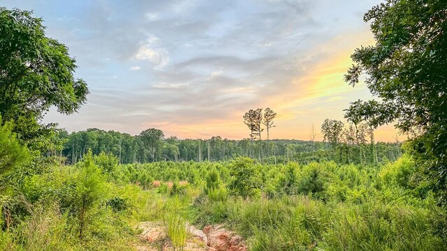 0 Sipes Way, Bolivar, TN 38008 - photo 2