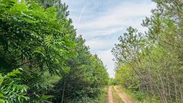 0 Sipes Way, Bolivar, TN 38008 - photo 13