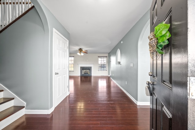 foyer entrance with ceiling fan and dark hardwood / wood-style flooring