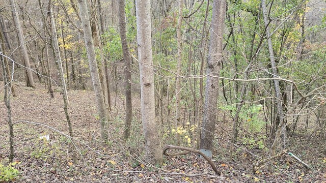 114 Shoreside Dr, Smithville, TN 37166 - photo 1