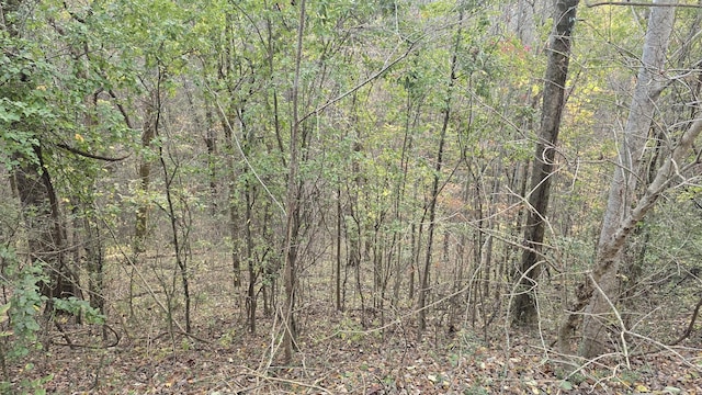 114 Shoreside Dr, Smithville, TN 37166 - photo 2