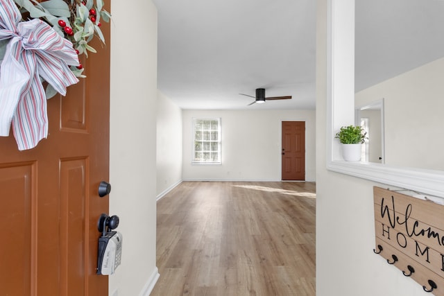 entrance foyer with ceiling fan and light hardwood / wood-style flooring