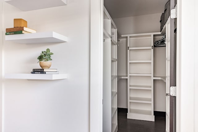 spacious closet featuring dark hardwood / wood-style floors