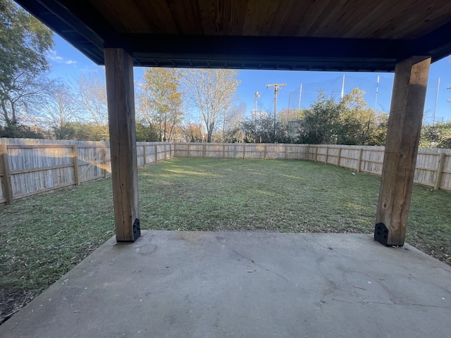 view of yard featuring a patio area