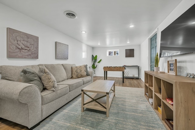 living room featuring wood-type flooring