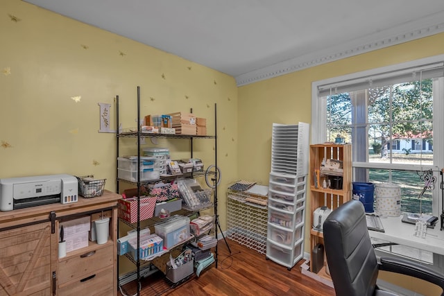 office with dark hardwood / wood-style flooring