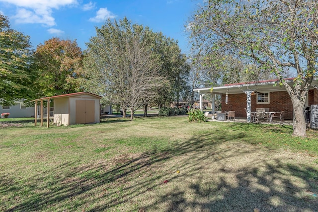 view of yard featuring a patio and a storage unit