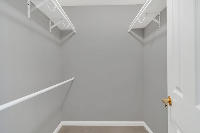 spacious closet featuring carpet