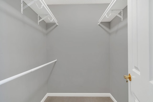 2027 Stokes Ln, Nashville, TN 37215 - view of walk in closet
