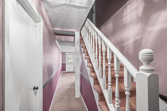 staircase featuring carpet flooring