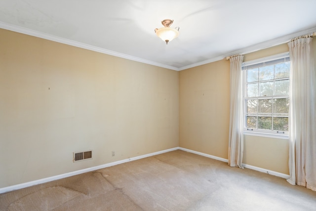 empty room with crown molding and carpet floors