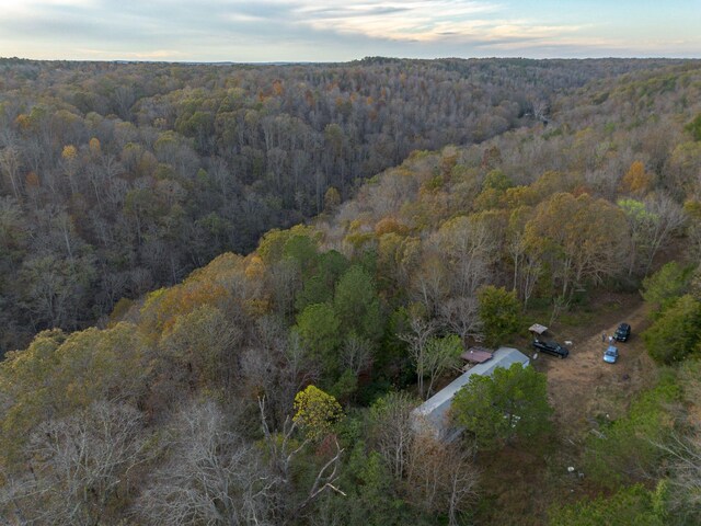 996 Tibbs Ln, Centerville, TN 37033
